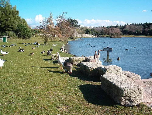Parque de la ciudad