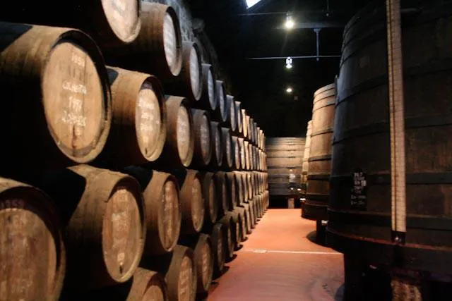 Bodegas de Oporto