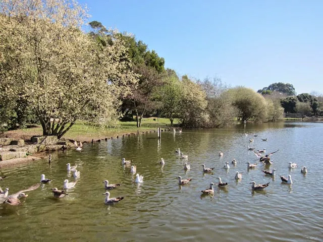Parque de la Ciudad