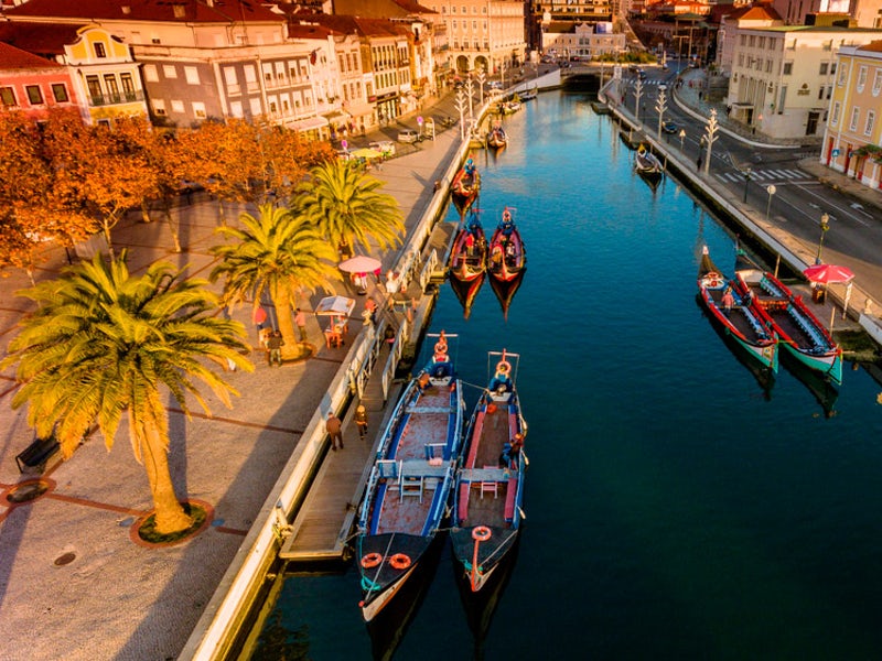 Excursión de medio día por Aveiro y Costa Nova con paseo en barco típico