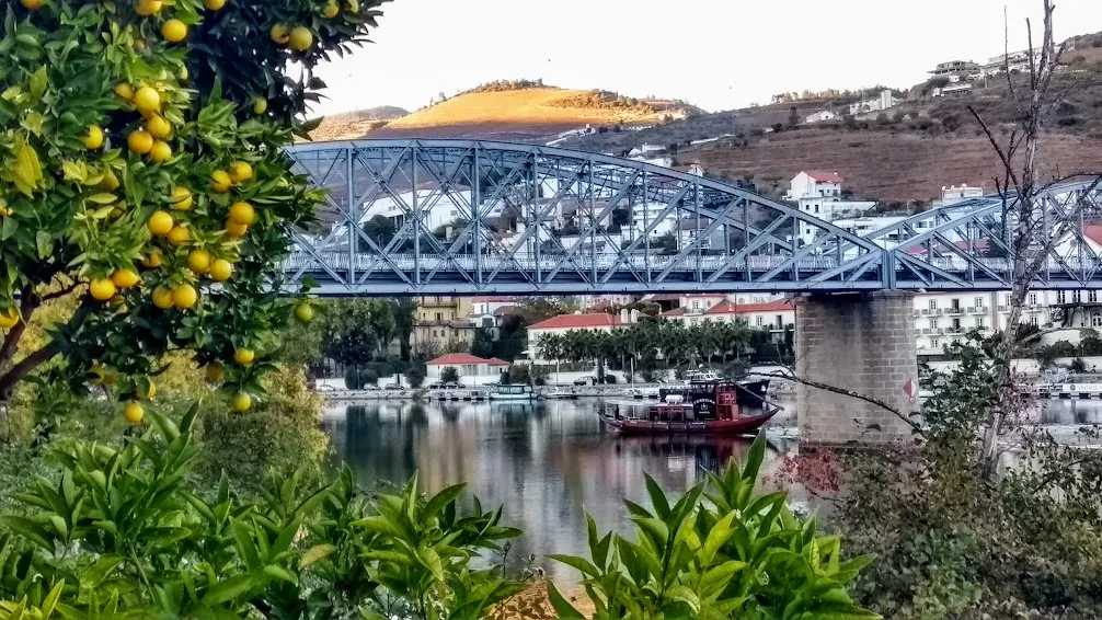 Paseo en barco en Peso da Régua